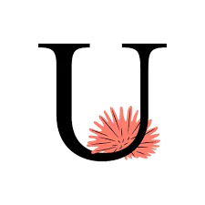 alphabet u name dp